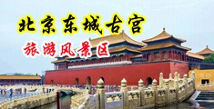 大鸡巴插入女人私处视频日本中国北京-东城古宫旅游风景区